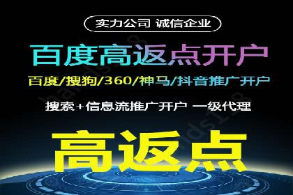 某电商平台的sem竞价推广托管经验